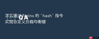 怎么通过 nginx 的 `hash` 指令实现自定义负载均衡键