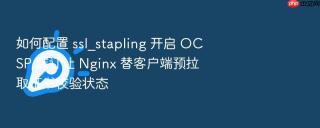如何配置 ssl_stapling 开启 ocsp 装订让 nginx 替客户端预拉取证书校验状态