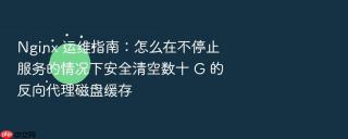 nginx 运维指南：怎么在不停止服务的情况下安全清空数十 g 的反向代理磁盘缓存
