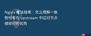 nginx 算法指南:怎么理解一致性哈希在 upstream 中应对节点缩容时的优势