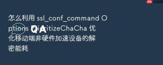 怎么利用 ssl_conf_command options prioritizechacha 优化移动端非硬件加速设备的解密能耗
