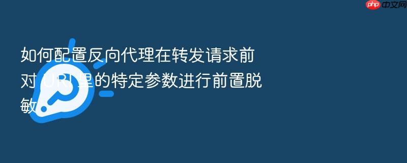 如何配置反向代理在转发请求前对 uri 里的特定参数进行前置脱敏