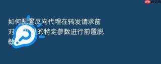 如何配置反向代理在转发请求前对 uri 里的特定参数进行前置脱敏