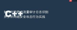 如何利用网络流量审计日志识别并分析网络安全攻击行为实战