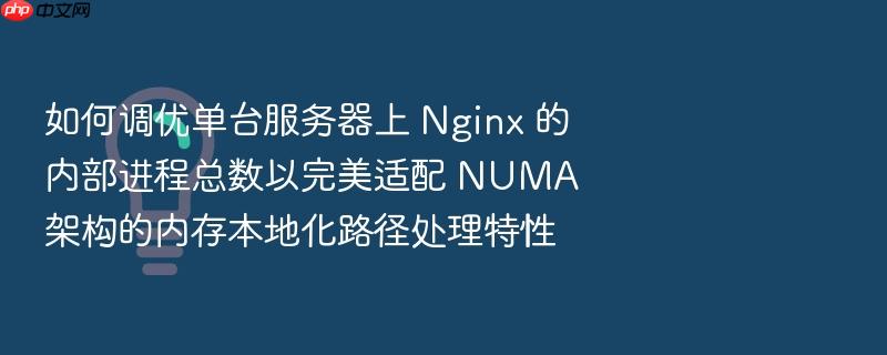 如何调优单台服务器上 nginx 的内部进程总数以完美适配 numa 架构的内存本地化路径处理特性