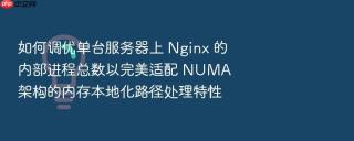 如何调优单台服务器上 nginx 的内部进程总数以完美适配 numa 架构的内存本地化路径处理特性