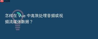 怎样在 vue 中高效处理音频或视频流媒体数据?