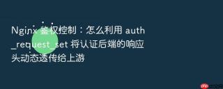 nginx 鉴权控制：怎么利用 auth_request_set 将认证后端的响应头动态透传给上游