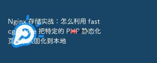 Nginx 存储实战：怎么利用 fastcgi_store 把特定的 PHP 静态化页面永久固化到本地