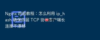 Nginx 四层教程：怎么利用 ip_hash 确保四层 TCP 协议客户端长连接不漂移