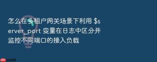 怎么在多租户网关场景下利用 $server_port 变量在日志中区分并监控不同端口的接入负载