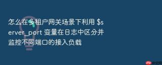 怎么在多租户网关场景下利用 $server_port 变量在日志中区分并监控不同端口的接入负载
