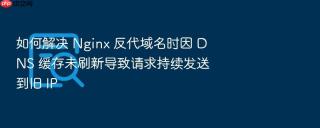 如何解决 Nginx 反代域名时因 DNS 缓存未刷新导致请求持续发送到旧 IP
