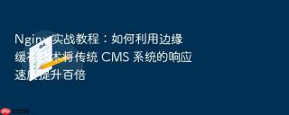 nginx 实战教程：如何利用边缘缓存技术将传统 cms 系统的响应速度提升百倍