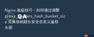 nginx 高级技巧:如何通过调整 proxy_headers_hash_bucket_size 完美容纳超长安全自定义鉴权头部