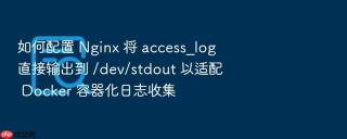 如何配置 Nginx 将 access_log 直接输出到 /dev/stdout 以适配 Docker 容器化日志收集