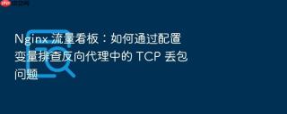nginx 流量看板：如何通过配置变量排查反向代理中的 tcp 丢包问题