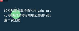 如何配置负载均衡利用 gzip_proxy 模块对异构后端响应体进行批量二次压缩