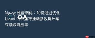 nginx 性能调优:如何通过优化 linux 内核盘符挂载参数提升缓存读取响应率