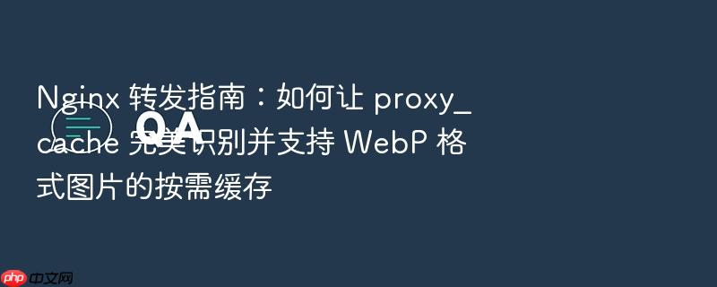 nginx 转发指南:如何让 proxy_cache 完美识别并支持 webp 格式图片的按需缓存