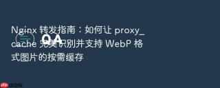 nginx 转发指南:如何让 proxy_cache 完美识别并支持 webp 格式图片的按需缓存