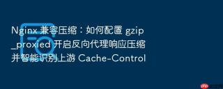 nginx 兼容压缩:如何配置 gzip_proxied 开启反向代理响应压缩并智能识别上游 cache-control