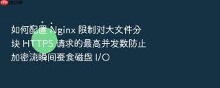如何配置 nginx 限制对大文件分块 https 请求的最高并发数防止加密流瞬间蚕食磁盘 i/o