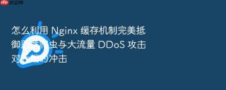 怎么利用 nginx 缓存机制完美抵御恶意爬虫与大流量 ddos 攻击对后端的冲击
