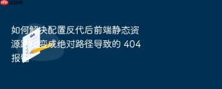 如何解决配置反代后前端静态资源路径变成绝对路径导致的 404 报错