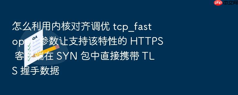 怎么利用内核对齐调优 tcp_fastopen 参数让支持该特性的 https 客户端在 syn 包中直接携带 tls 握手数据