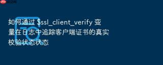 如何通过 $ssl_client_verify 变量在日志中追踪客户端证书的真实校验状态状态