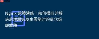 Nginx 故障演练：如何模拟并解决后端服务发生雪崩时的反代级联故障