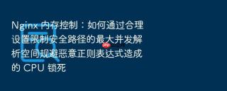 Nginx 内存控制：如何通过合理设置限制安全路径的最大并发解析空间规避恶意正则表达式造成的 CPU 锁死