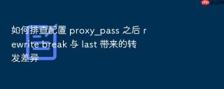 如何排查配置 proxy_pass 之后 rewrite break 与 last 带来的转发差异