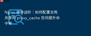 nginx 缓存进阶：如何配置全局共享的 proxy_cache 空间提升命中率