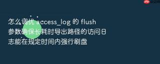 怎么调优 access_log 的 flush 参数确保长耗时导出路径的访问日志能在规定时间内强行刷盘