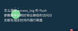 怎么调优 access_log 的 flush 参数确保长耗时导出路径的访问日志能在规定时间内强行刷盘