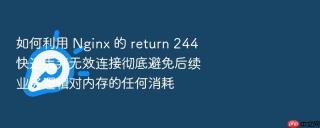 如何利用 nginx 的 return 244 快速丢弃无效连接彻底避免后续业务逻辑对内存的任何消耗