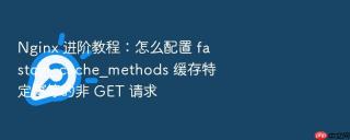 Nginx 进阶教程：怎么配置 fastcgi_cache_methods 缓存特定幂等的非 GET 请求