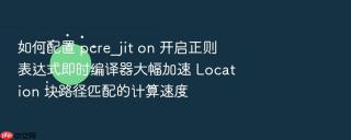 如何配置 pcre_jit on 开启正则表达式即时编译器大幅加速 location 块路径匹配的计算速度