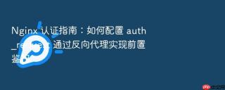 nginx 认证指南：如何配置 auth_request 通过反向代理实现前置鉴权