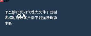 怎么解决反向代理大文件下载时因超时导致客户端下载连接提前中断
