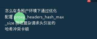 怎么在多租户环境下通过优化配置 proxy_headers_hash_max_size 防范复杂请求头引发的哈希冲突卡顿