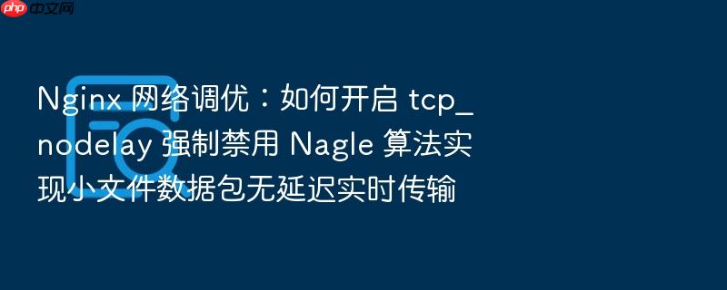 nginx 网络调优:如何开启 tcp_nodelay 强制禁用 nagle 算法实现小文件数据包无延迟实时传输