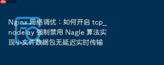 nginx 网络调优：如何开启 tcp_nodelay 强制禁用 nagle 算法实现小文件数据包无延迟实时传输