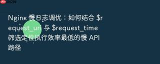 Nginx 慢日志调优：如何结合 $request_uri 与 $request_time 筛选定位执行效率最低的慢 API 路径