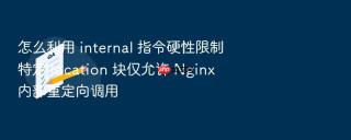 怎么利用 internal 指令硬性限制特定 location 块仅允许 nginx 内部重定向调用