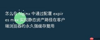 怎么在 Nginx 中通过配置 expires max 实现静态资产路径在客户端浏览器的永久强缓存复用