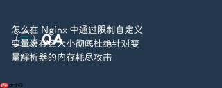 怎么在 nginx 中通过限制自定义变量缓存区大小彻底杜绝针对变量解析器的内存耗尽攻击