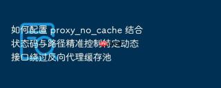 如何配置 proxy_no_cache 结合状态码与路径精准控制特定动态接口绕过反向代理缓存池